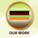 Our Work