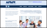 Clean Lines Consulting Group