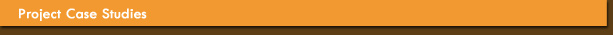 Website Hosting