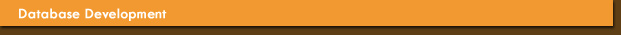 Website Hosting