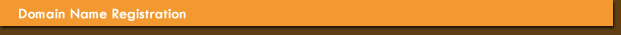 Website Hosting
