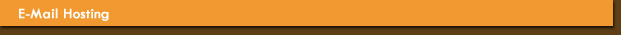 Website Hosting
