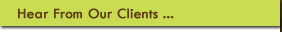 Our Services Include