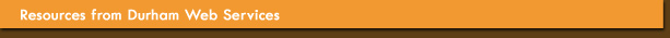 Website Hosting