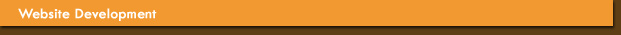 Website Hosting