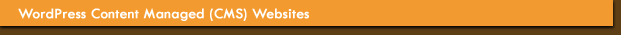 Website Hosting